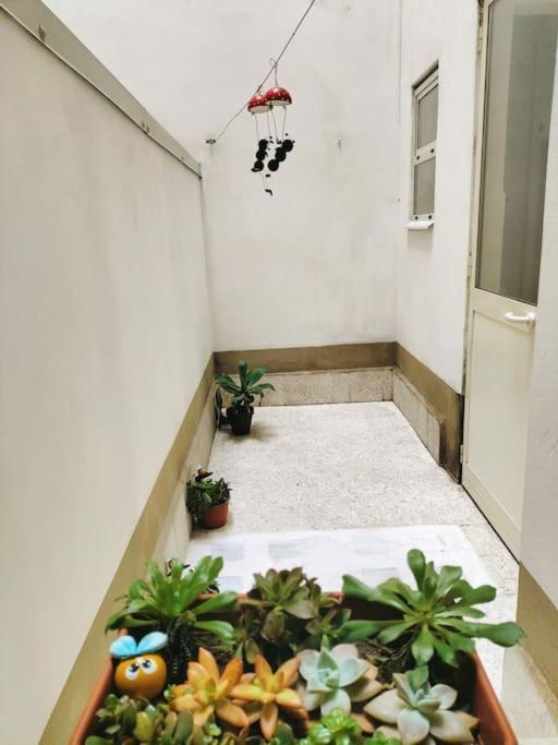 Polly House Appartamento Catania Esterno foto